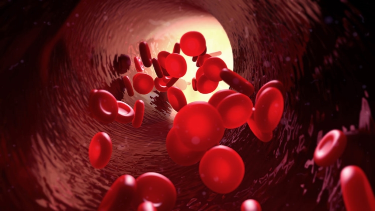 Demystifying Blood: Exploring Its Vital Functions and Separating Fact From Fiction